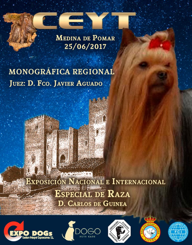 Monográfica Medina de Pomar 2017