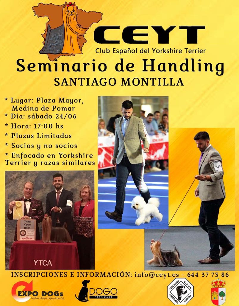 Seminario Handling